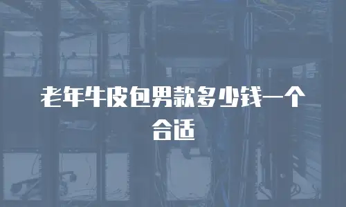 老年牛皮包男款多少钱一个合适