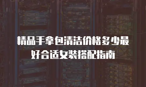 精品手拿包清洁价格多少最好合适女装搭配指南