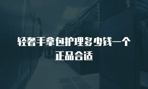 轻奢手拿包护理多少钱一个正品合适