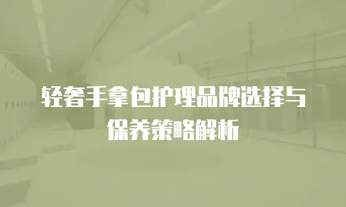 轻奢手拿包护理品牌选择与保养策略解析