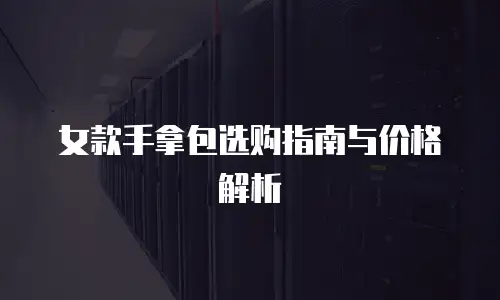 女款手拿包选购指南与价格解析