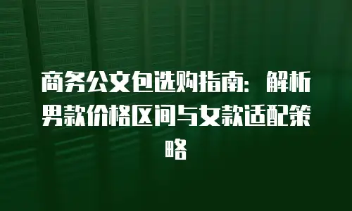 商务公文包选购指南：解析男款价格区间与女款适配策略
