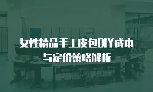 女性精品手工皮包DIY成本与定价策略解析