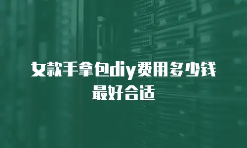 女款手拿包diy费用多少钱最好合适