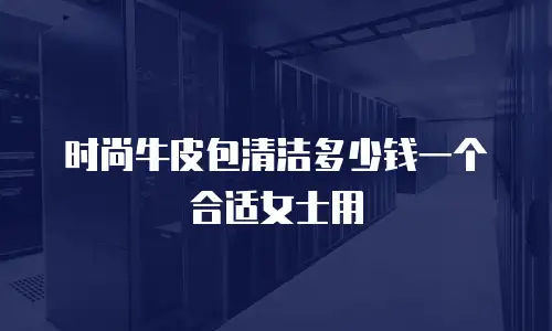 时尚牛皮包清洁多少钱一个合适女士用