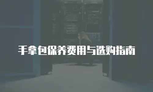 手拿包保养费用与选购指南