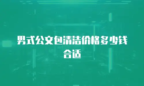 男式公文包清洁价格多少钱合适
