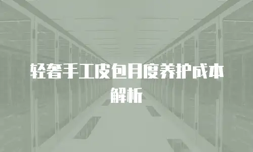 轻奢手工皮包月度养护成本解析