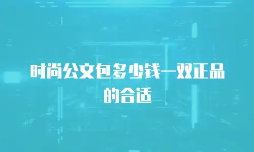 时尚公文包多少钱一双正品的合适