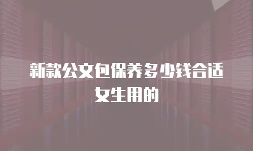 新款公文包保养多少钱合适女生用的