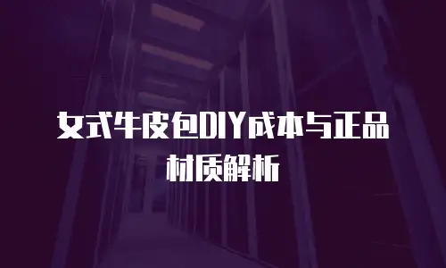 女式牛皮包DIY成本与正品材质解析