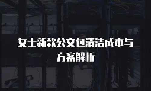 女士新款公文包清洁成本与方案解析