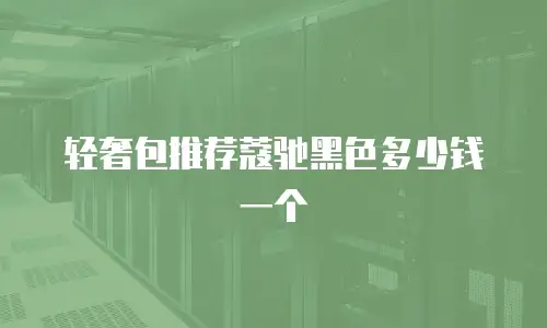轻奢包推荐蔻驰黑色多少钱一个