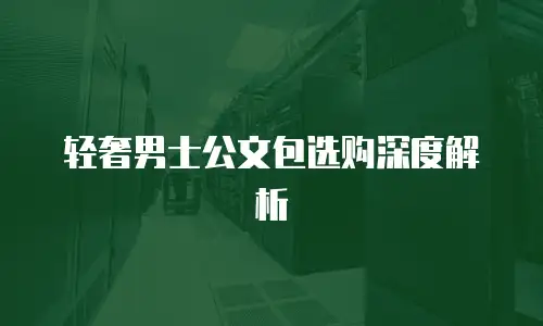 轻奢男士公文包选购深度解析