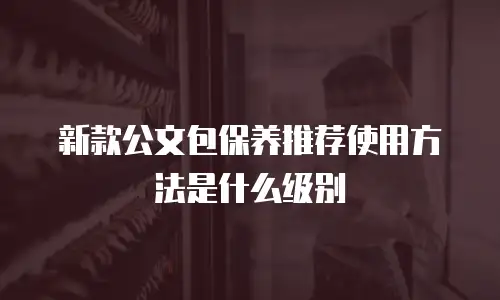 新款公文包保养推荐使用方法是什么级别