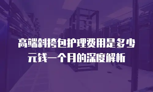 高端斜挎包护理费用是多少元钱一个月的深度解析