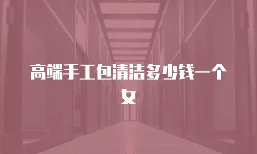 高端手工包清洁多少钱一个女