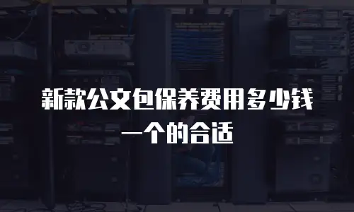 新款公文包保养费用多少钱一个的合适