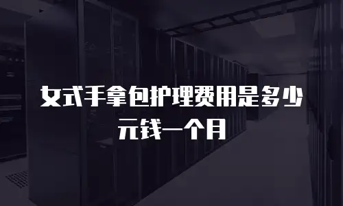 女式手拿包护理费用是多少元钱一个月