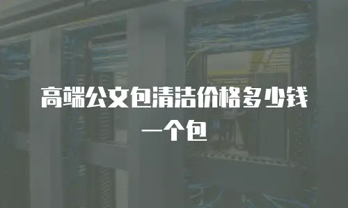 高端公文包清洁价格多少钱一个包