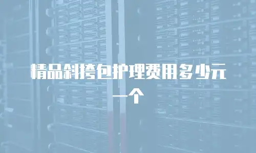 精品斜挎包护理费用多少元一个