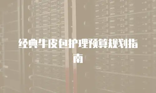 经典牛皮包护理预算规划指南