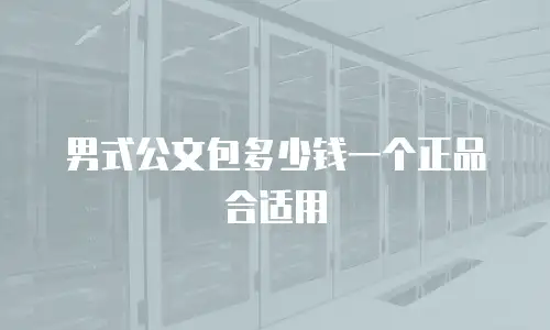 男式公文包多少钱一个正品合适用