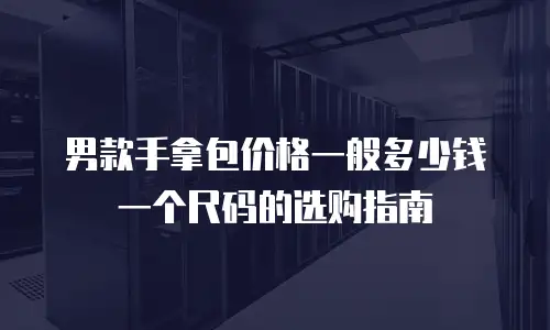 男款手拿包价格一般多少钱一个尺码的选购指南