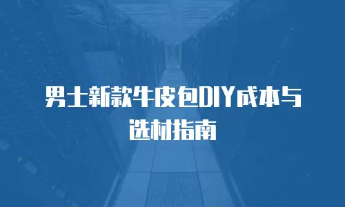 男士新款牛皮包DIY成本与选材指南