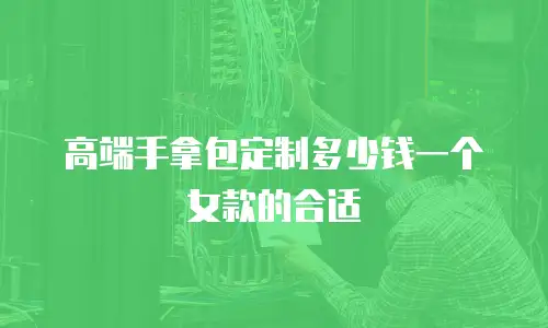 高端手拿包定制多少钱一个女款的合适