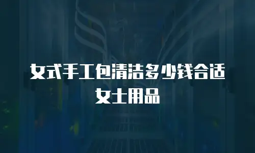 女式手工包清洁多少钱合适女士用品