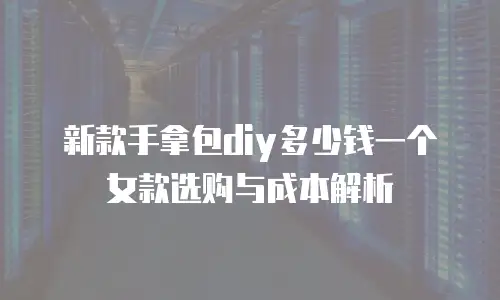 新款手拿包diy多少钱一个女款选购与成本解析