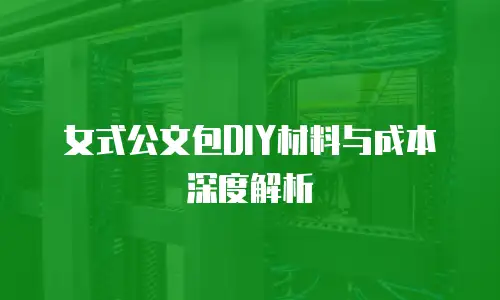 女式公文包DIY材料与成本深度解析