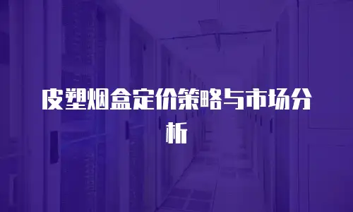 皮塑烟盒定价策略与市场分析