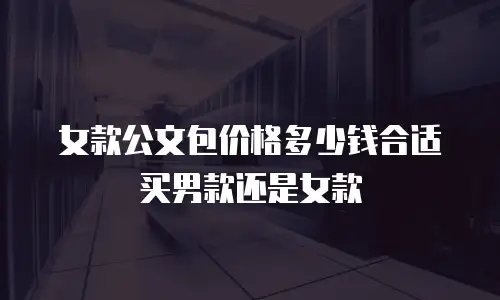 女款公文包价格多少钱合适买男款还是女款