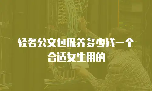 轻奢公文包保养多少钱一个合适女生用的