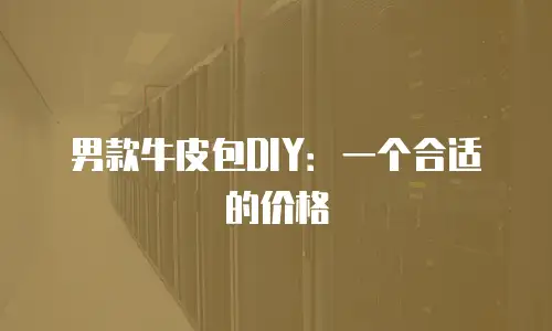男款牛皮包DIY：一个合适的价格