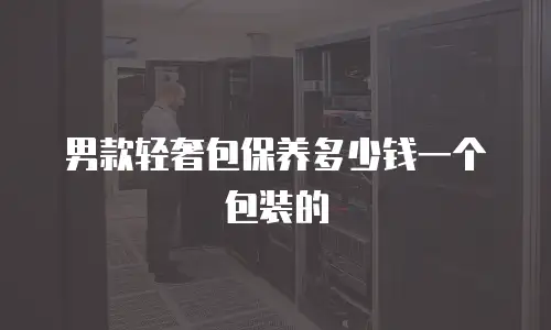 男款轻奢包保养多少钱一个包装的