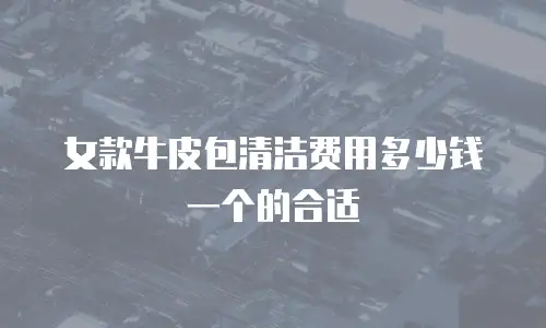 女款牛皮包清洁费用多少钱一个的合适