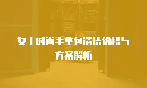 女士时尚手拿包清洁价格与方案解析