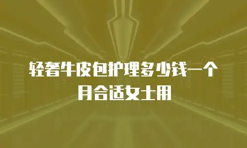 轻奢牛皮包护理多少钱一个月合适女士用
