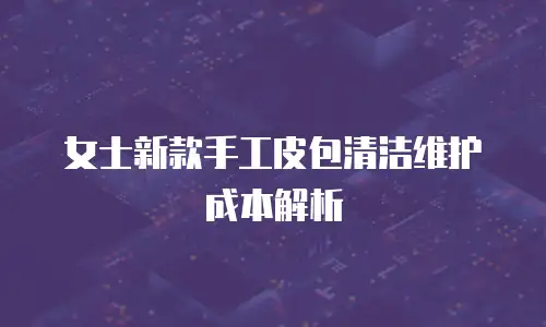 女士新款手工皮包清洁维护成本解析