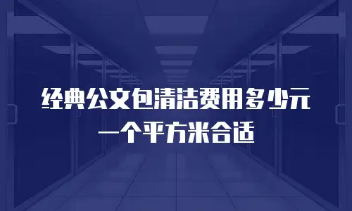 经典公文包清洁费用多少元一个平方米合适