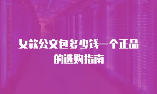女款公文包多少钱一个正品的选购指南
