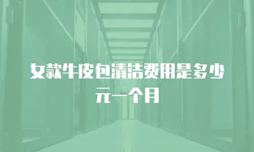 女款牛皮包清洁费用是多少元一个月