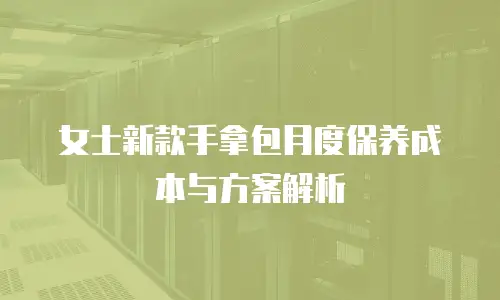 女士新款手拿包月度保养成本与方案解析