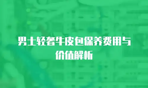 男士轻奢牛皮包保养费用与价值解析
