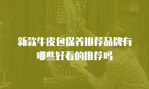 新款牛皮包保养推荐品牌有哪些好看的推荐吗