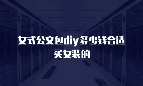 女式公文包diy多少钱合适买女装的