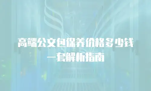 高端公文包保养价格多少钱一套解析指南